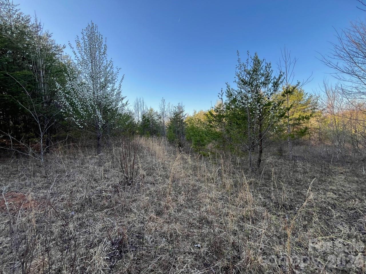 Tbd Southern Way Nebo, NC 28761 - Photo 2 of 22