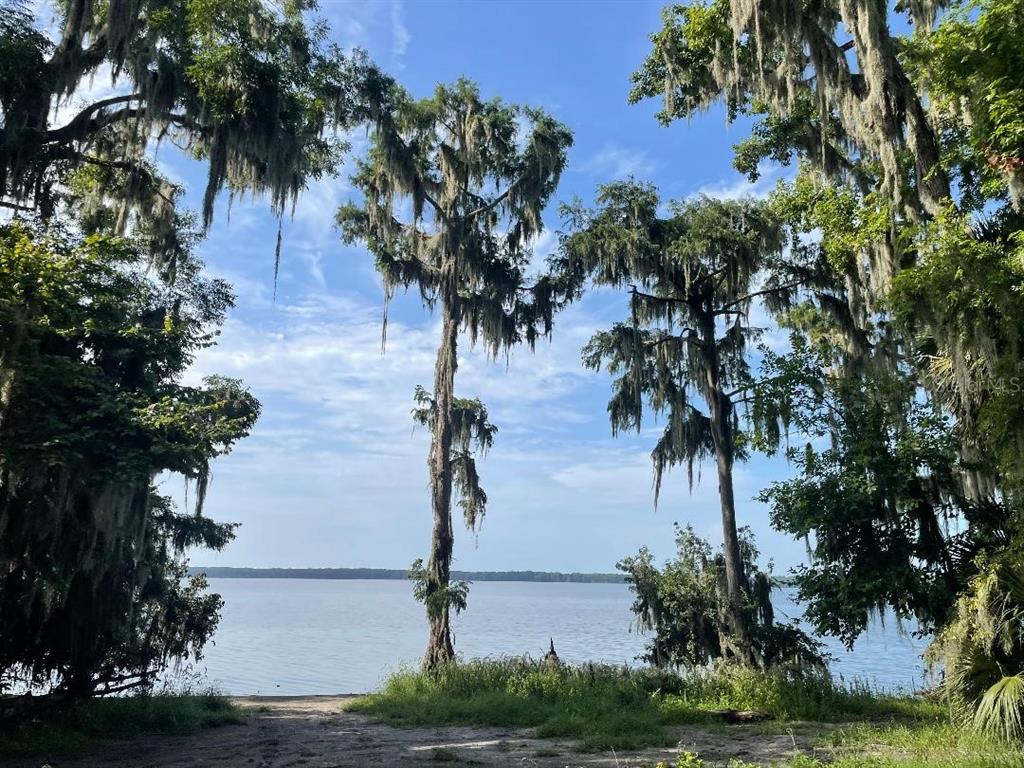 430 Southeast 74 Street Gainesville, FL 32641 - Photo 4 of 25