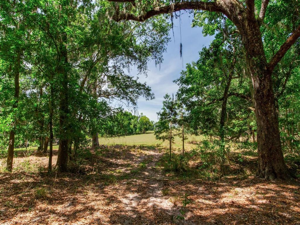 Spring Lake Highway Brooksville, FL 34602 - Photo 18 of 49 a view of a yard with a tree