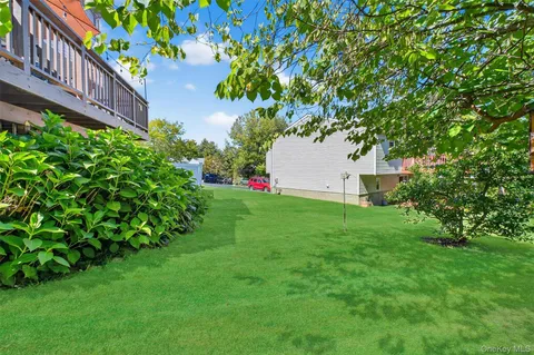 a view of a garden with plants and large trees