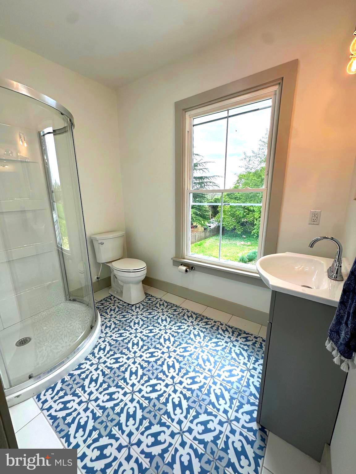 3860 Main Street Trappe, MD 21673 - Photo 43 of 58 a bathroom with a sink a toilet a window and shower