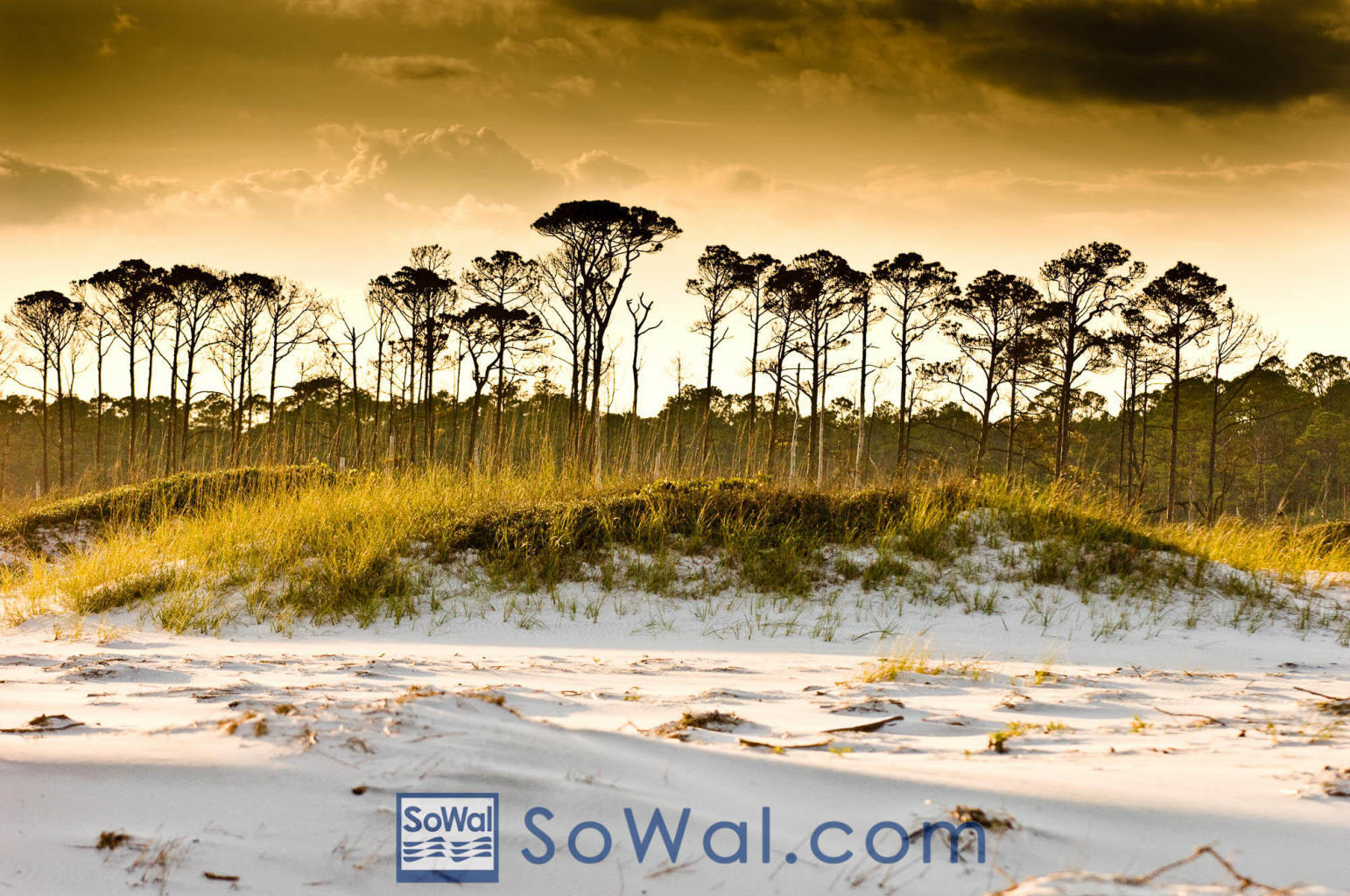 600 Las Roblas Grande Drive Santa Rosa Beach, FL 32459 - Photo 8 of 12 a view of a ocean with beach