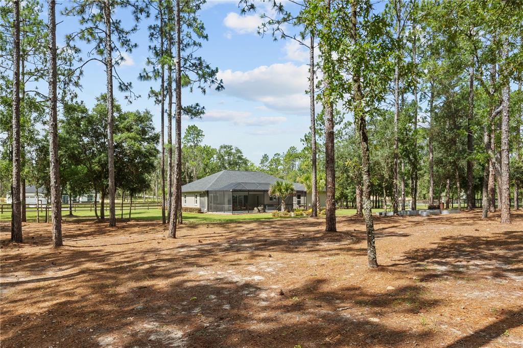 12929 Southwest 89th Street Dunnellon, FL 34432 - Photo 60 of 76 a house with trees in front of it