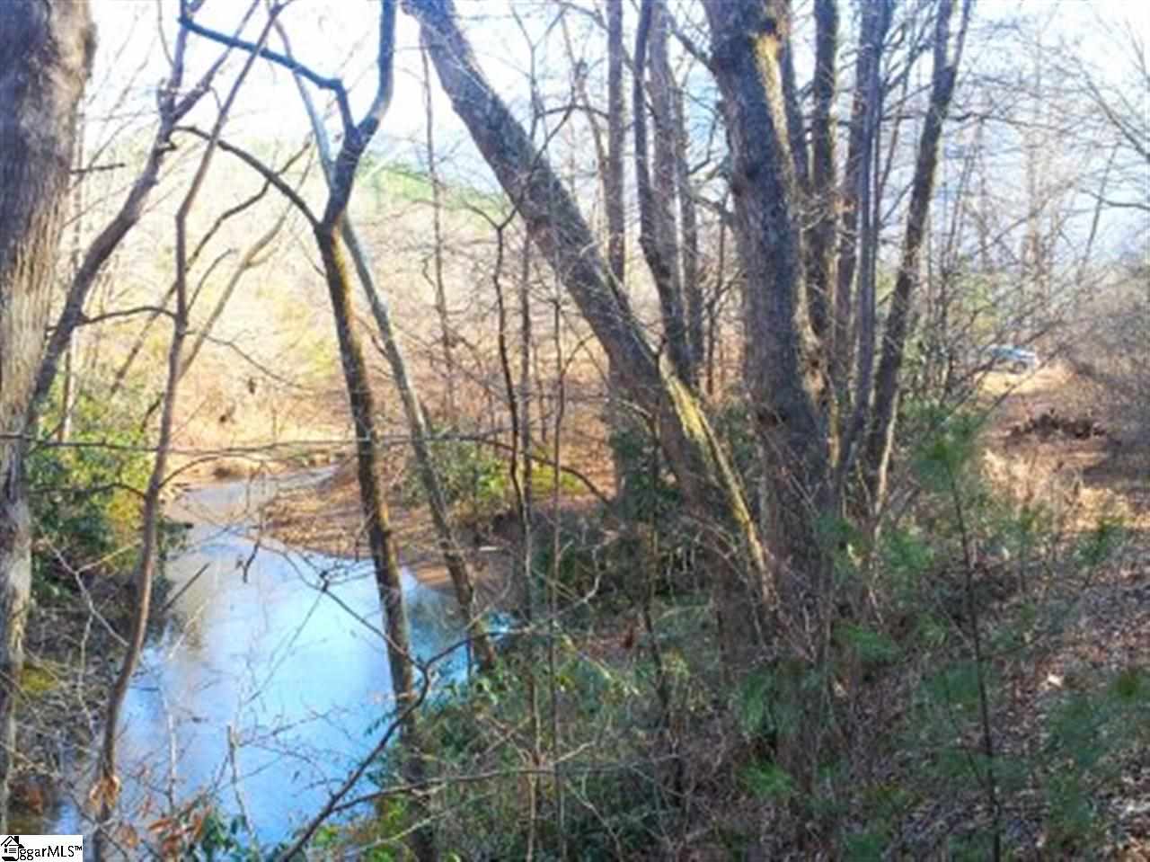 20 Cedar Grove Rd Mill Spring Mill Spring, NC 28756 - Photo 5 of 7