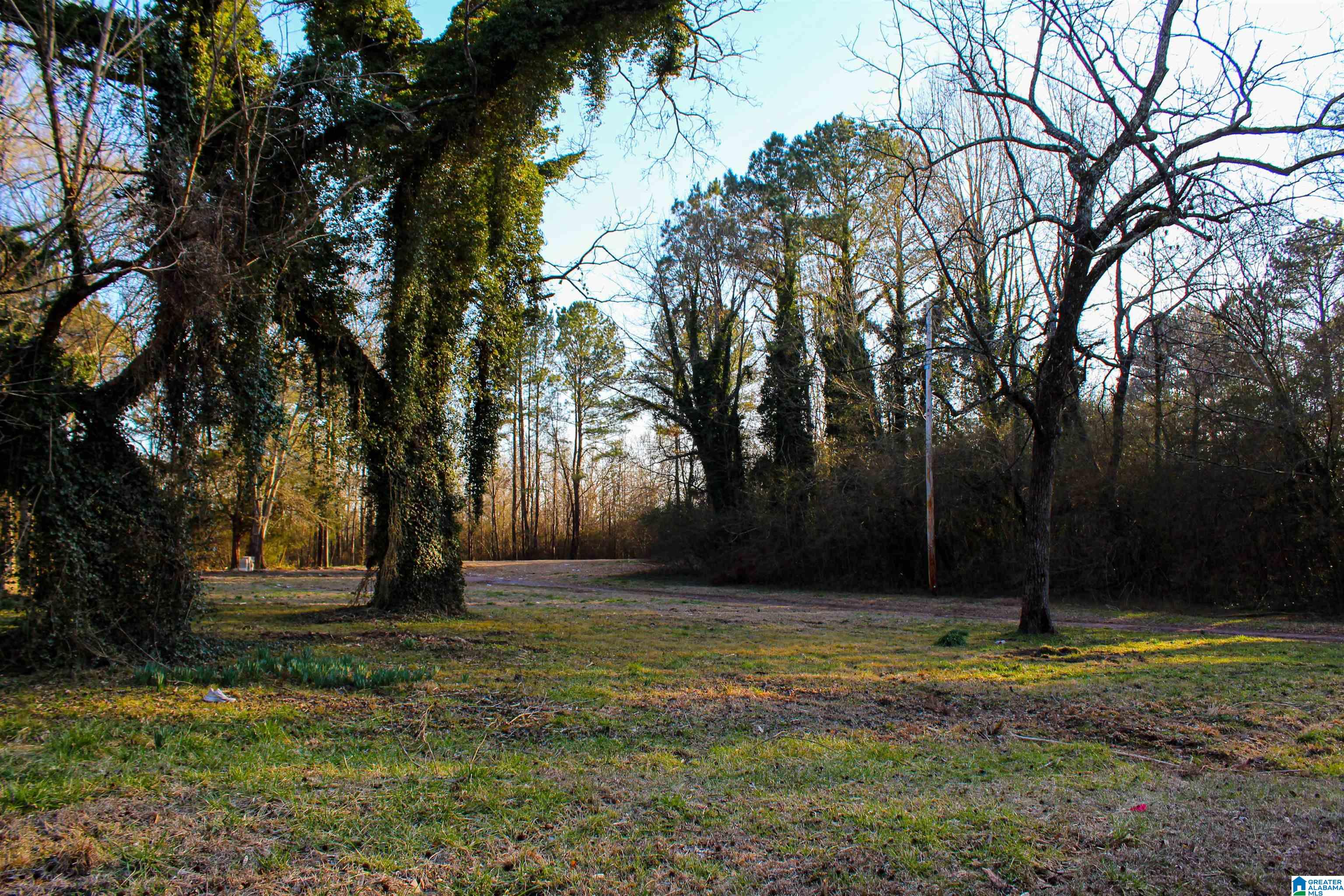 1 Hull Road, Unit 1 Sumiton, AL 35148 - Photo 4 of 55 Gallery Image 4