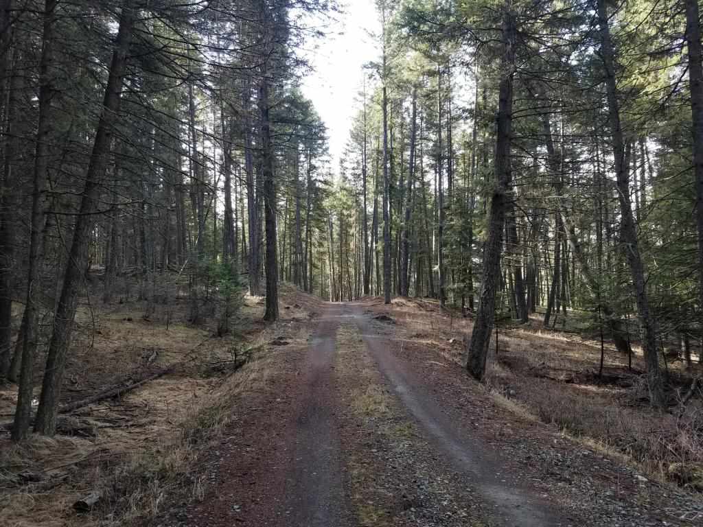 2567 Grimm Road Addy, WA 99101 - Photo 3 of 9