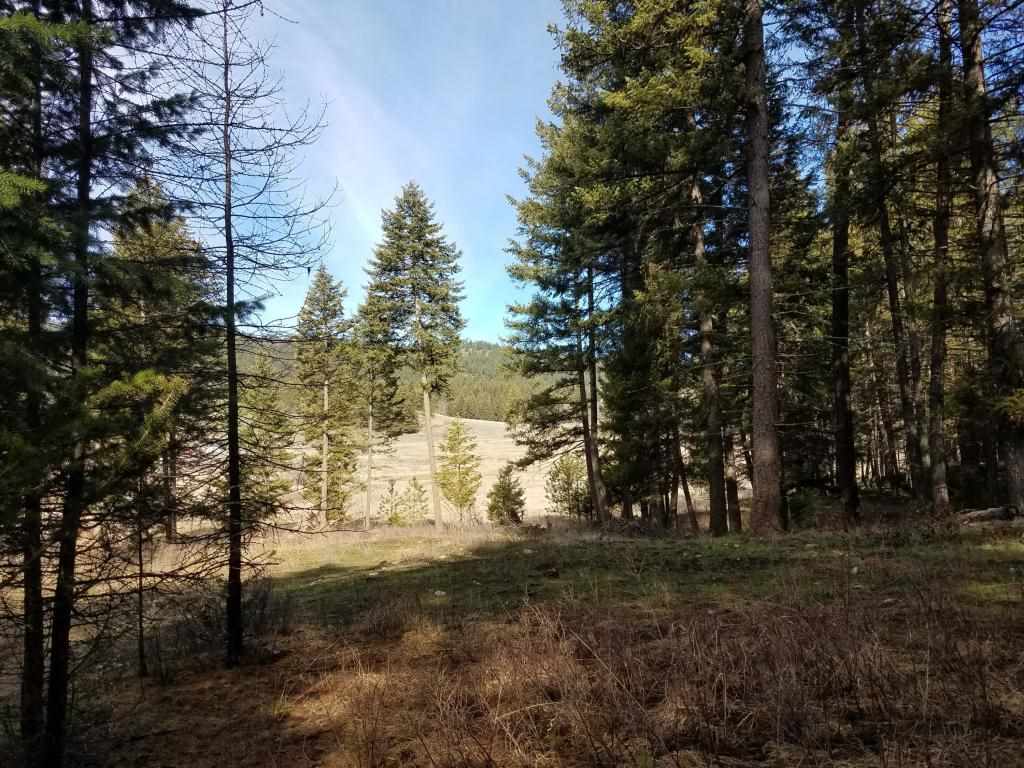 2567 Grimm Road Addy, WA 99101 - Photo 6 of 9