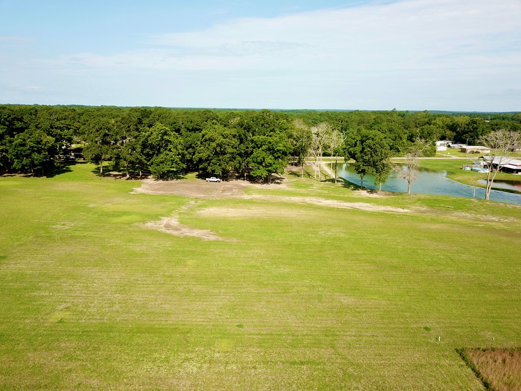 103 Slocomb Al Slocomb, AL 36375 - Photo 38 of 63