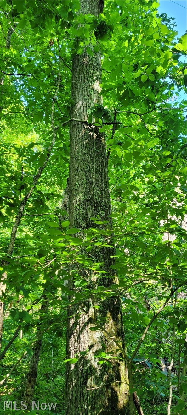 Hollis Clark Road Caldwell, OH 43724 - Photo 25 of 49