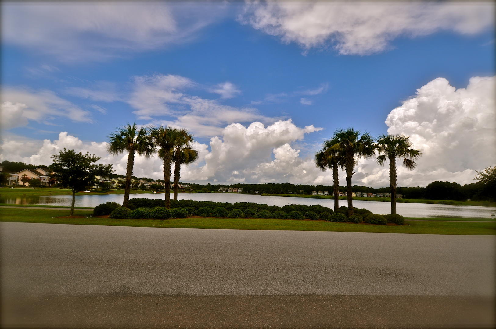 1643 Bee Balm Road Johns Island, SC 29455 - Photo 14 of 14 1643 Bee Balm Rd