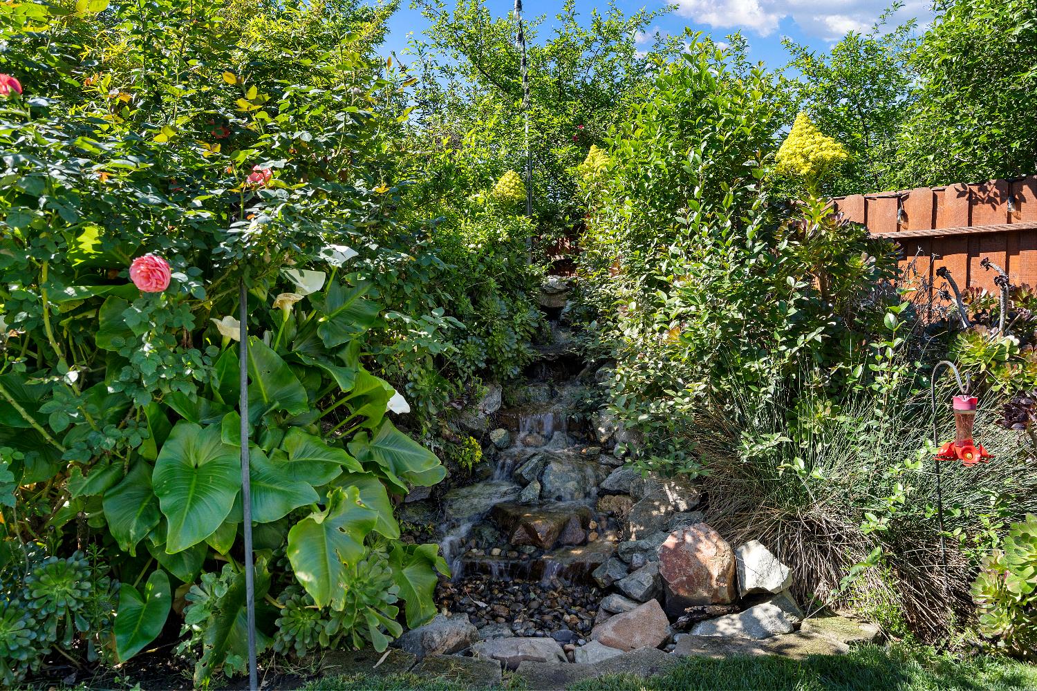 8339 Ruge Court Antelope, CA 95843 - Photo 31 of 35