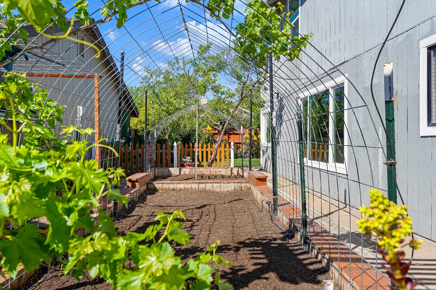 8339 Ruge Court Antelope, CA 95843 - Photo 35 of 35