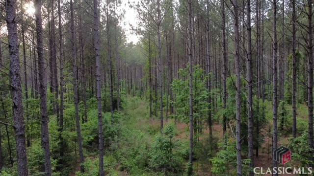 38 Cromer Road Elberton, GA 30635 - Photo 32 of 39