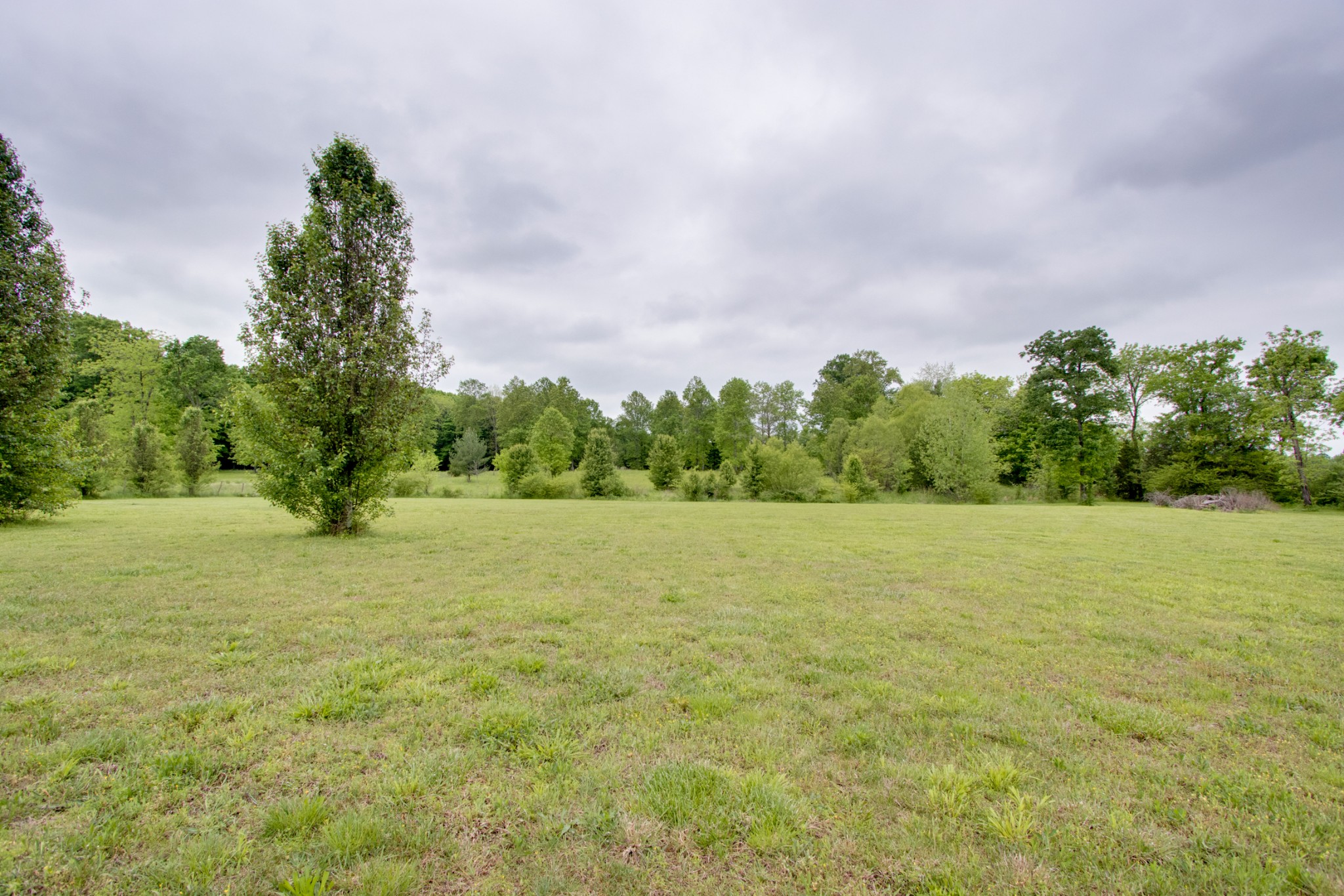 576 Bellwood Road Lebanon, TN 37087 - Photo 16 of 34 a view of a field with trees in the background