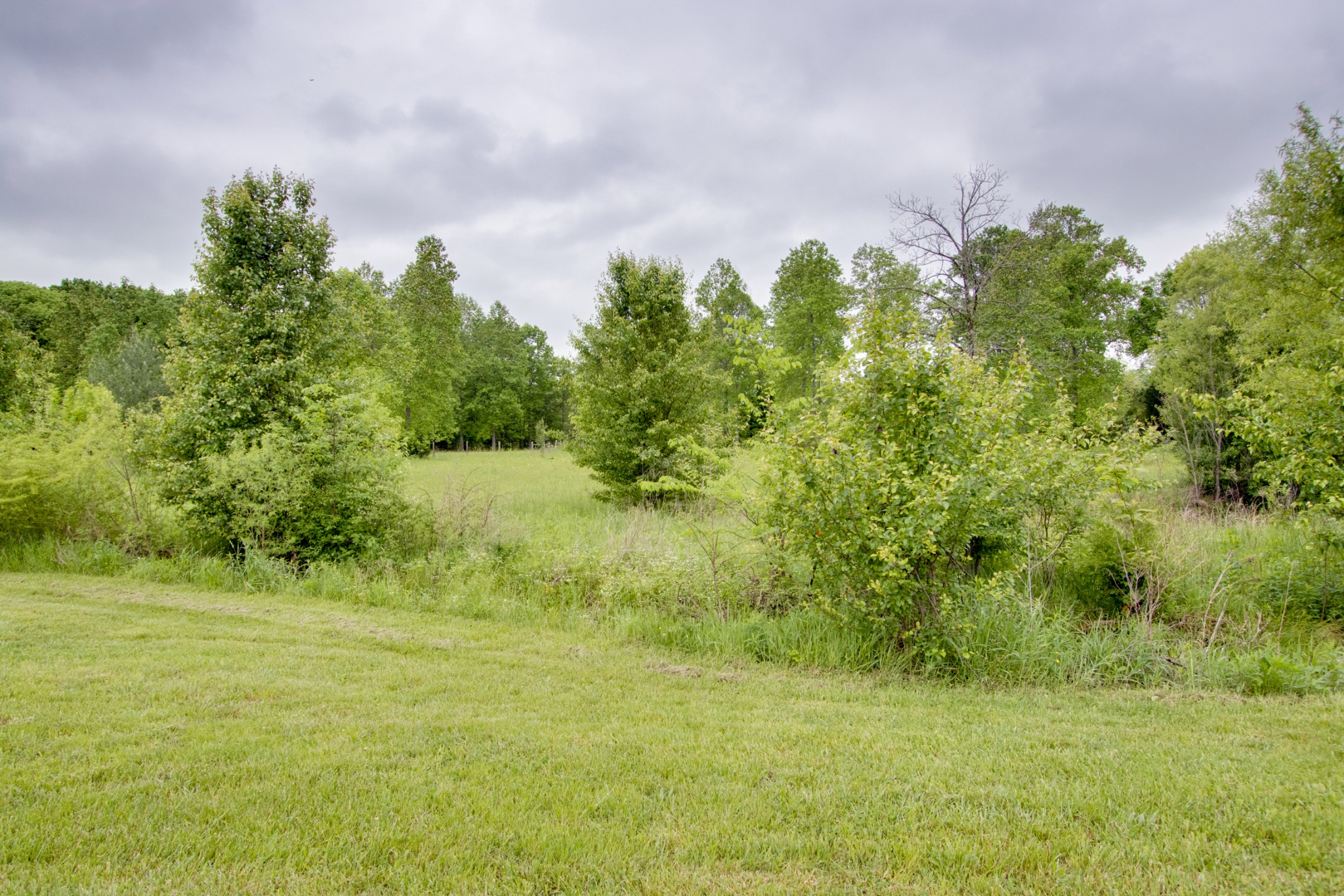 576 Bellwood Road Lebanon, TN 37087 - Photo 18 of 34 a backyard of a house with lots of green space and bushes