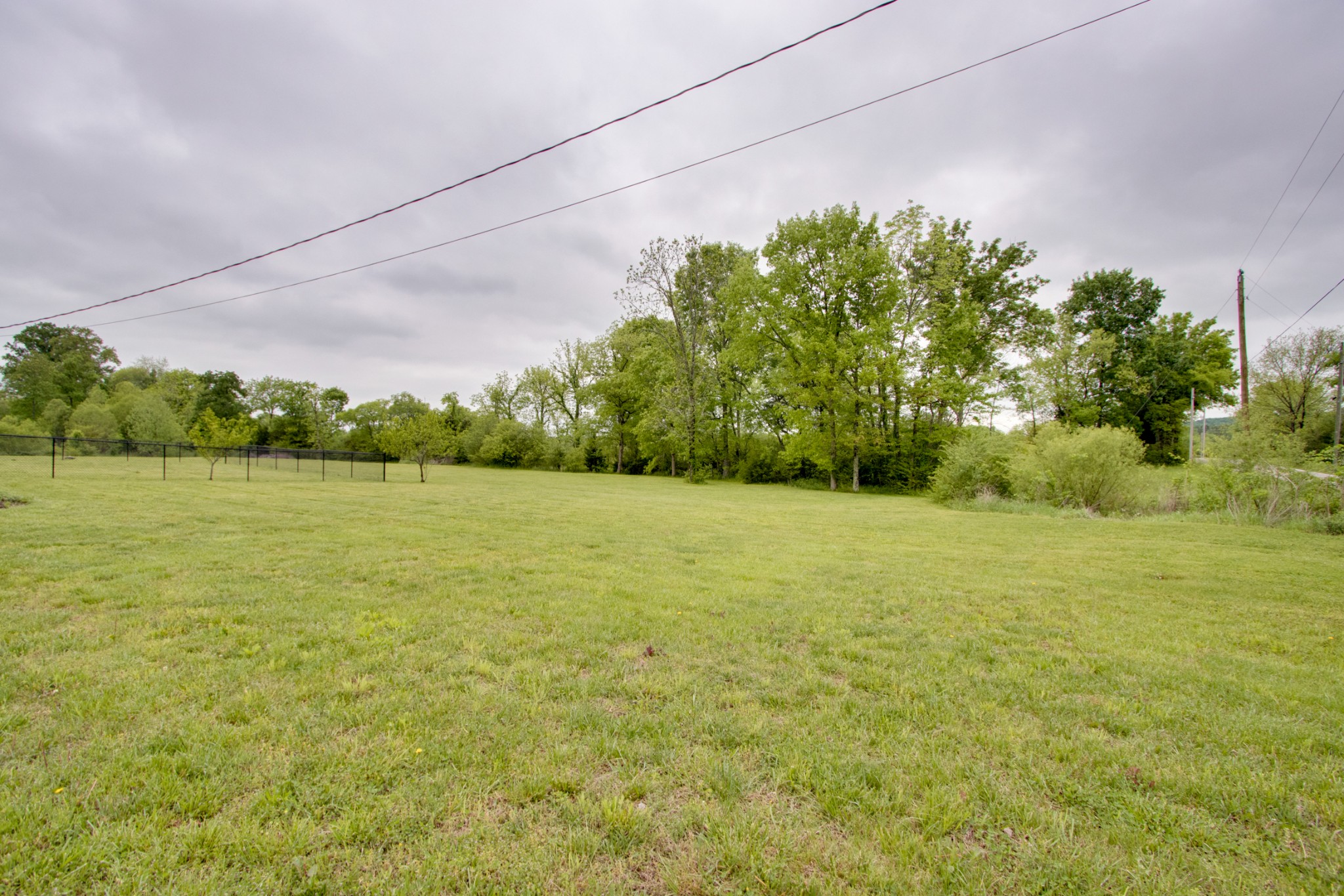 576 Bellwood Road Lebanon, TN 37087 - Photo 33 of 34 a view of a yard with an tree