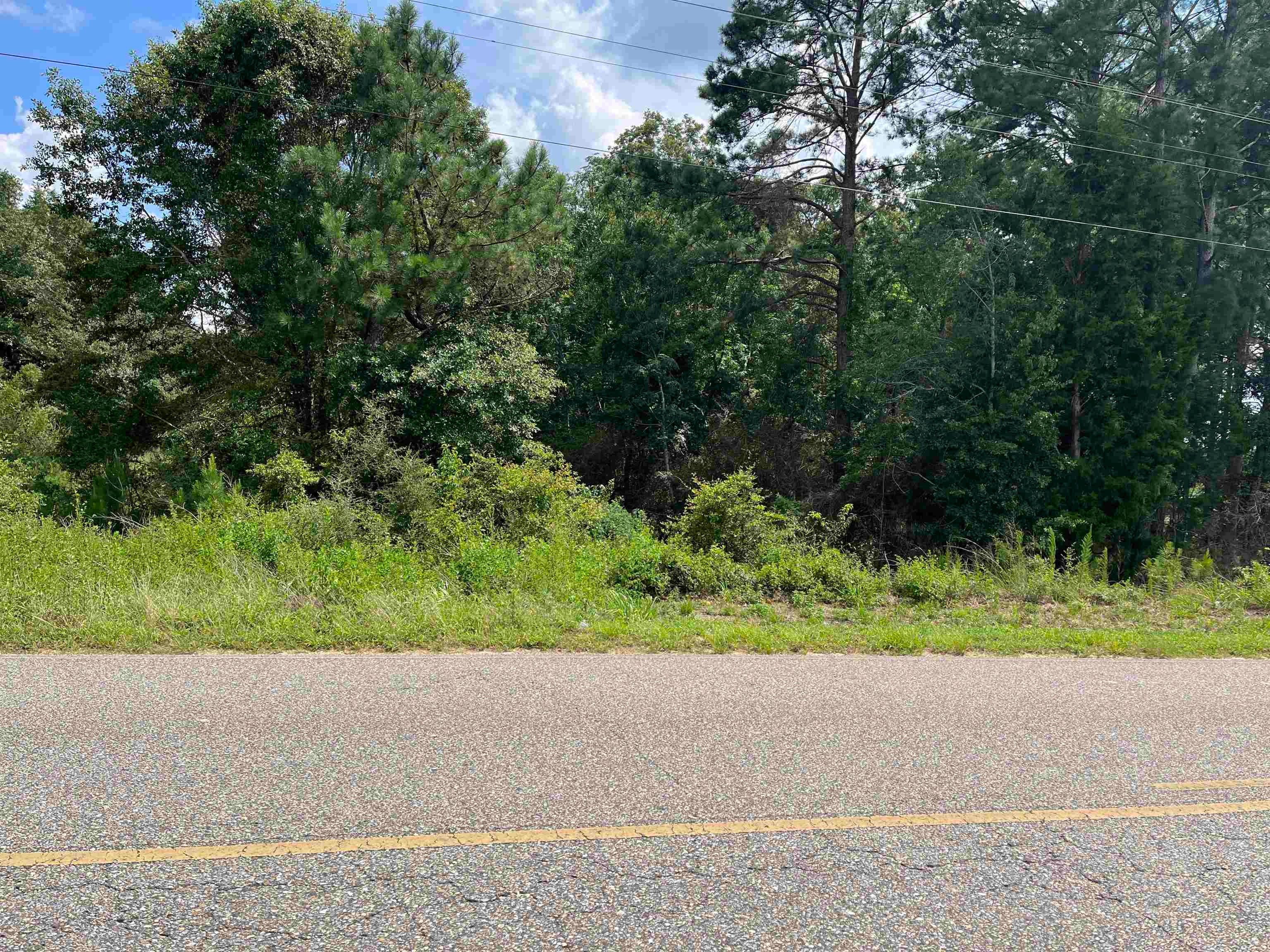 0 Airport Road Andalusia, AL 36421 - Photo 2 of 5 Gallery Image 2