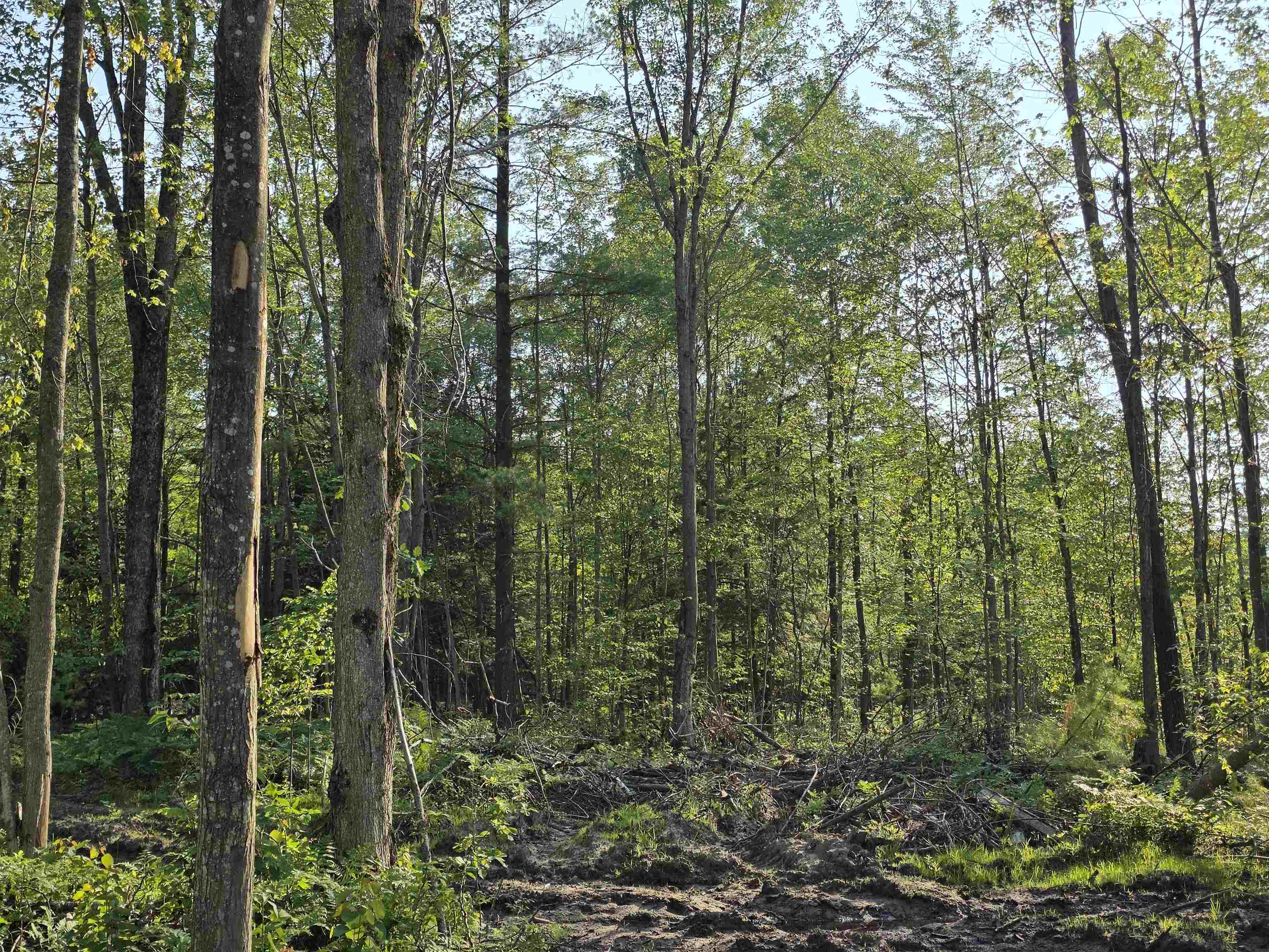 0 Arnold Road Manton, MI 49663 - Photo 42 of 63