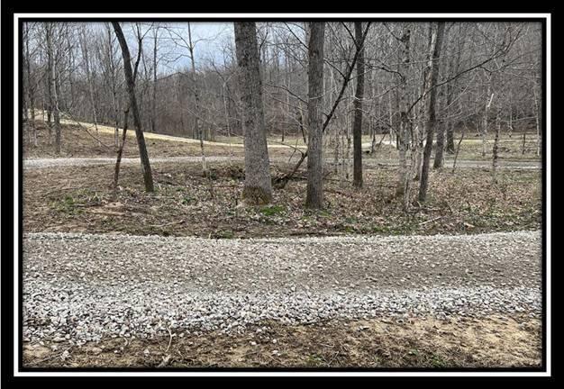 35471 Buck Run Road Langsville, OH 45741 - Photo 9 of 32