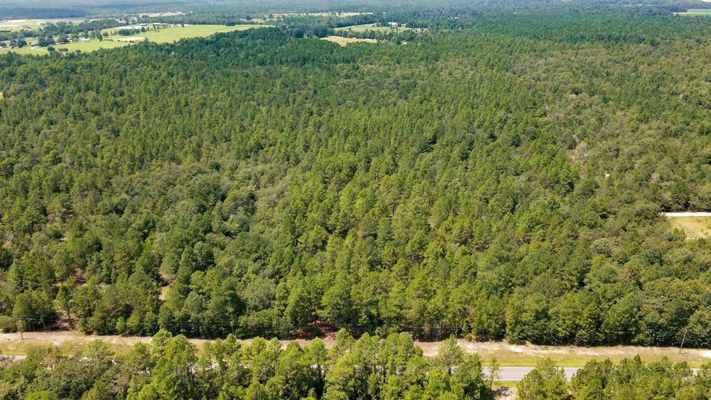 51.92-acre State Park Road Windsor, SC 29856 - Photo 1 of 14