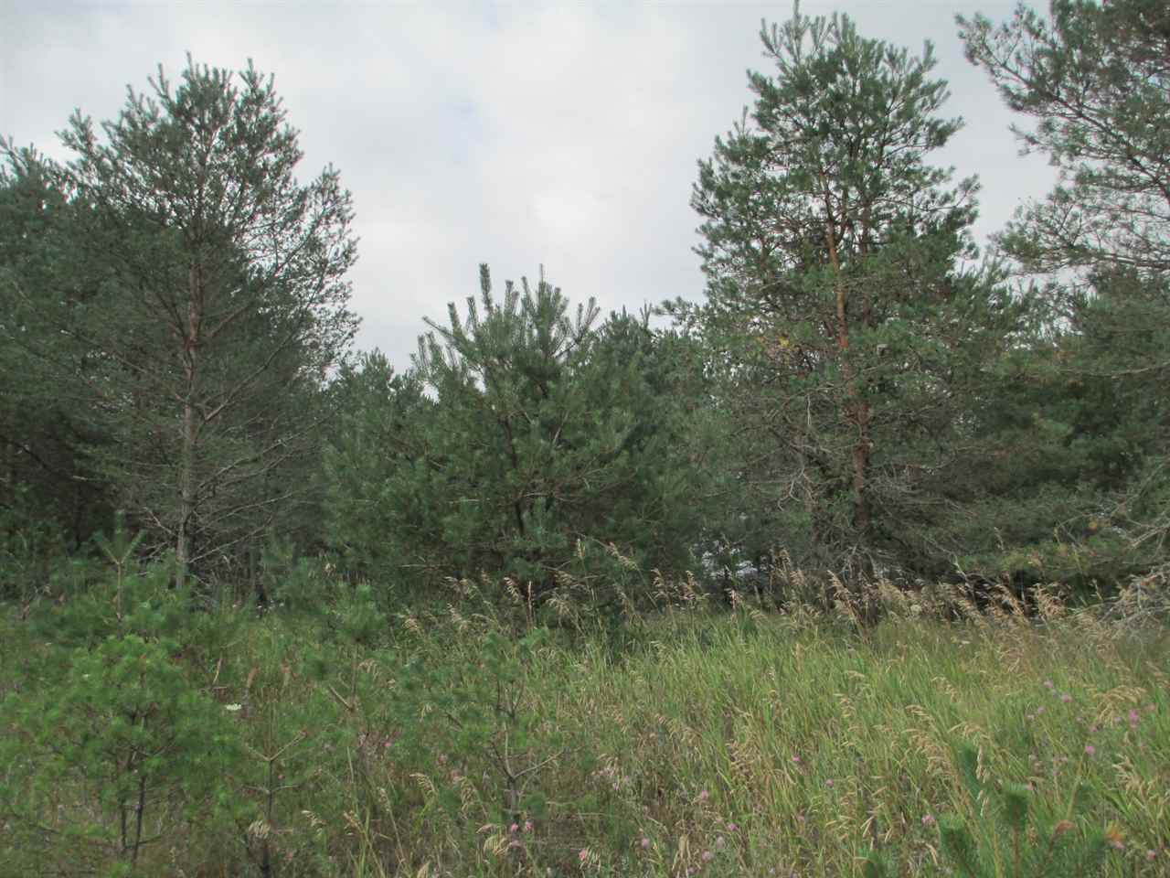 Anderson Road Kalkaska, MI 49646 - Photo 13 of 17 1860155-12.JPG