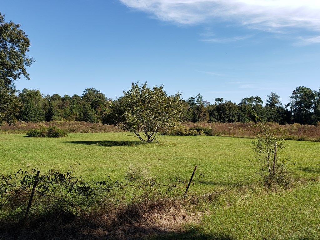 2105 Oscar Helms Road Gordon, AL 36343 - Photo 6 of 30 Gallery Image 6