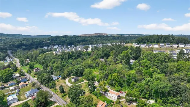 a view of a lush green field with lots of bushes