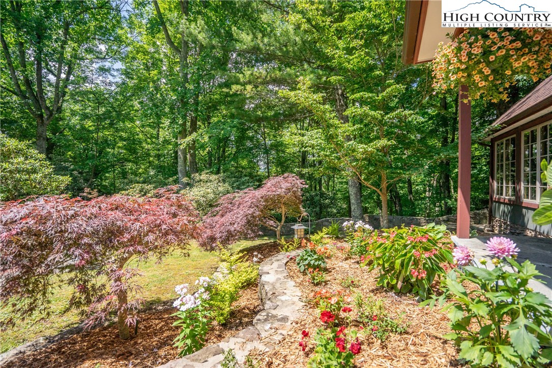 2373 Shulls Mill Road Boone, NC 28607 - Photo 3 of 40 Gallery Image 3