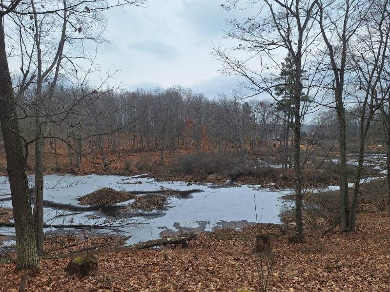 14855 17 Mile Road Rodney, MI 49342 - Photo 28 of 34 image000004