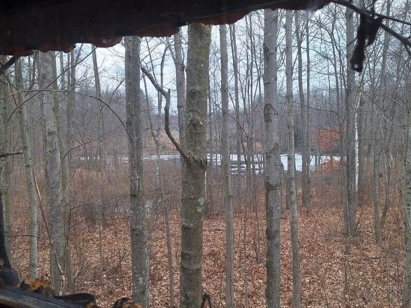 14855 17 Mile Road Rodney, MI 49342 - Photo 30 of 34 image000003