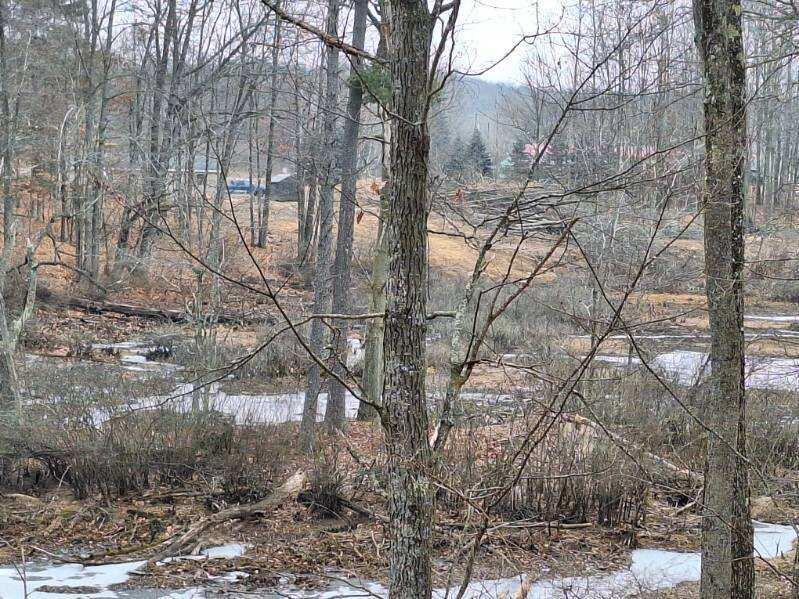 14855 17 Mile Road Rodney, MI 49342 - Photo 31 of 34 image000002