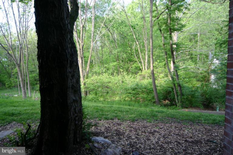 8110 Colony Point Road, Unit L Springfield, VA 22152 - Photo 19 of 24 View from patio