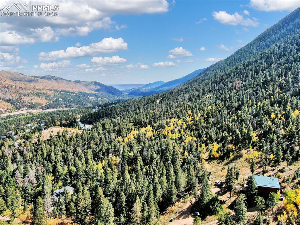 5265 Kulsa Road Cascade, CO 80809 - Photo 12 of 13 Property view of mountains