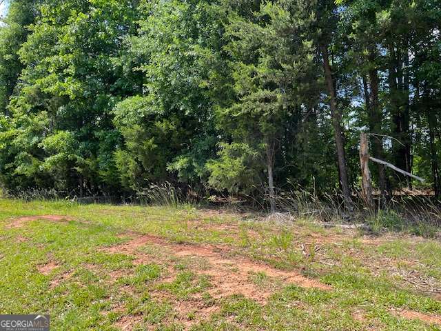 a view of backyard with tree