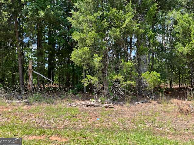 0 Edge Road Villa Rica, GA 30180 - Photo 2 of 3 a view of backyard with green space
