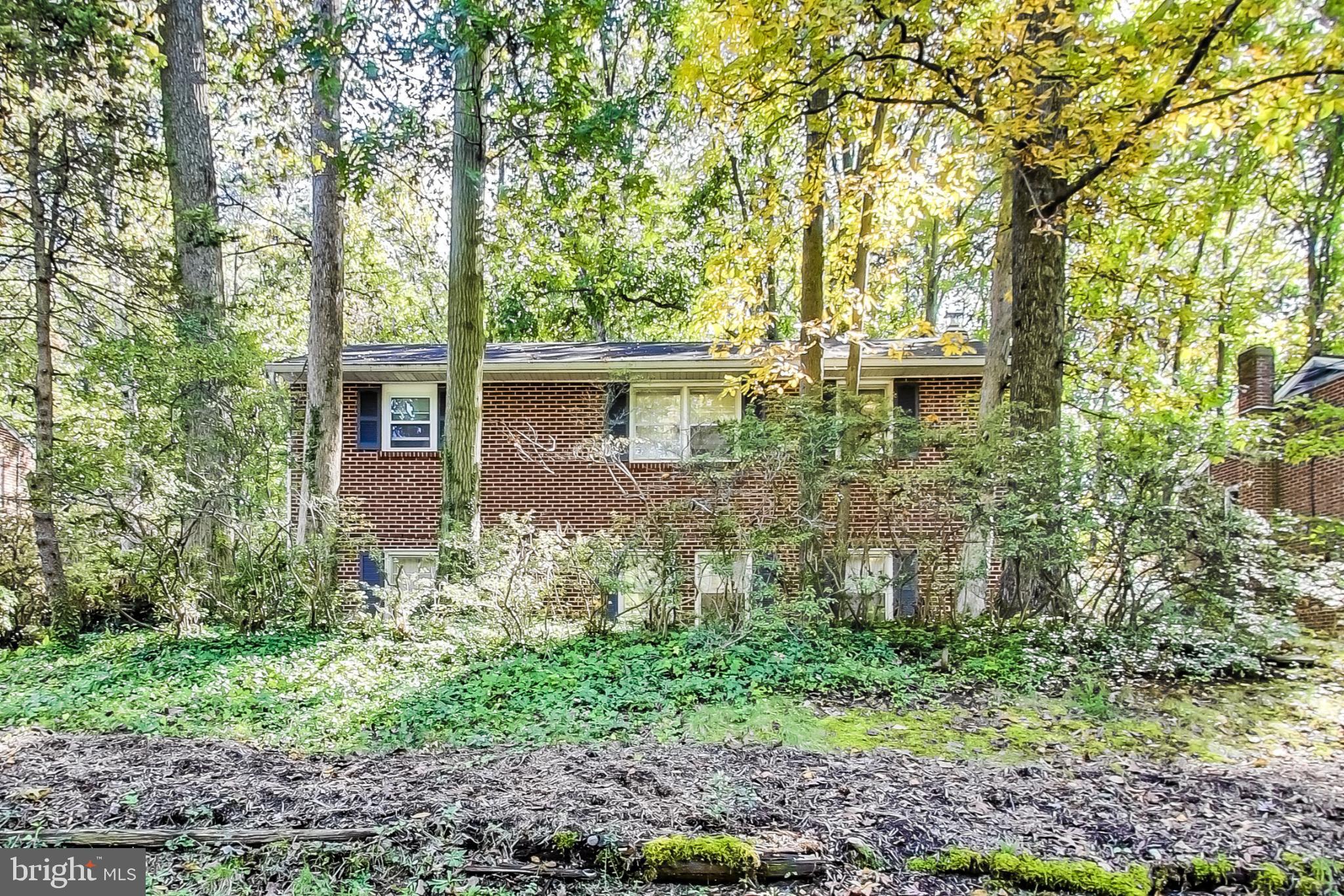 116 Northway Road Greenbelt, MD 20770 - Photo 3 of 46 Front Yard view