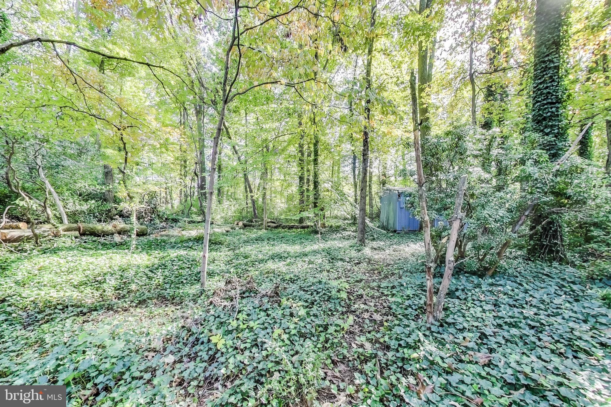 116 Northway Road Greenbelt, MD 20770 - Photo 44 of 46 Backyard view with shed