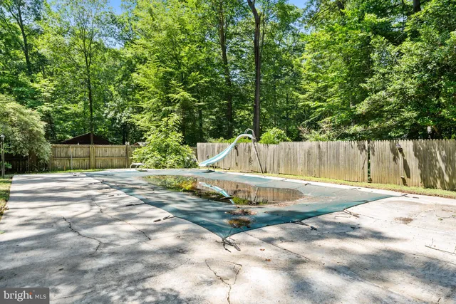 a view of backyard with a trees