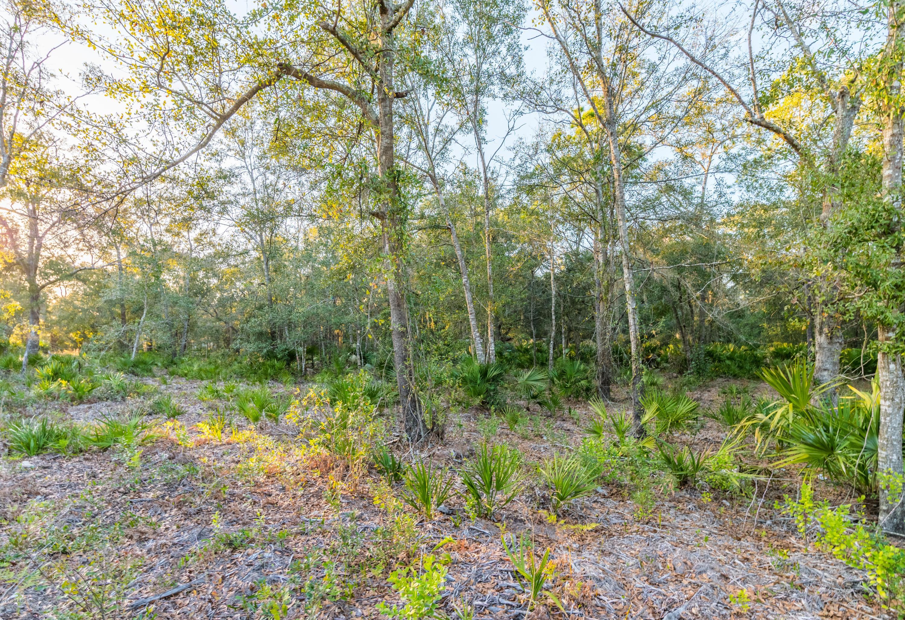 0 Freeman Road Yulee, FL 32097 - Photo 4 of 5 a view of forest