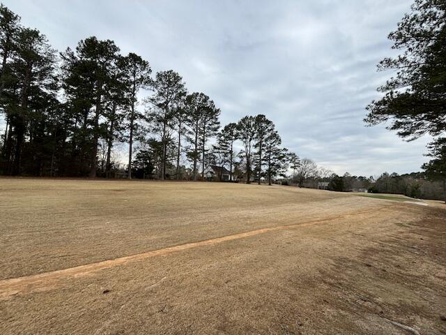 2887 Twin Pine Road Thomson, GA 30824 - Photo 26 of 29 image010