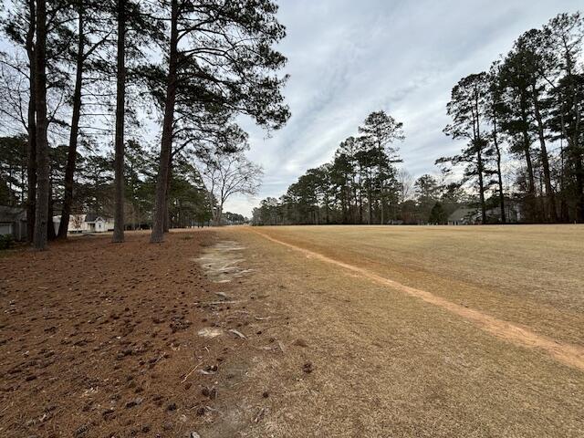 2887 Twin Pine Road Thomson, GA 30824 - Photo 27 of 29 image011