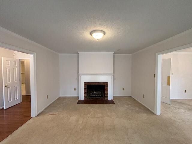 2887 Twin Pine Road Thomson, GA 30824 - Photo 3 of 29 image034
