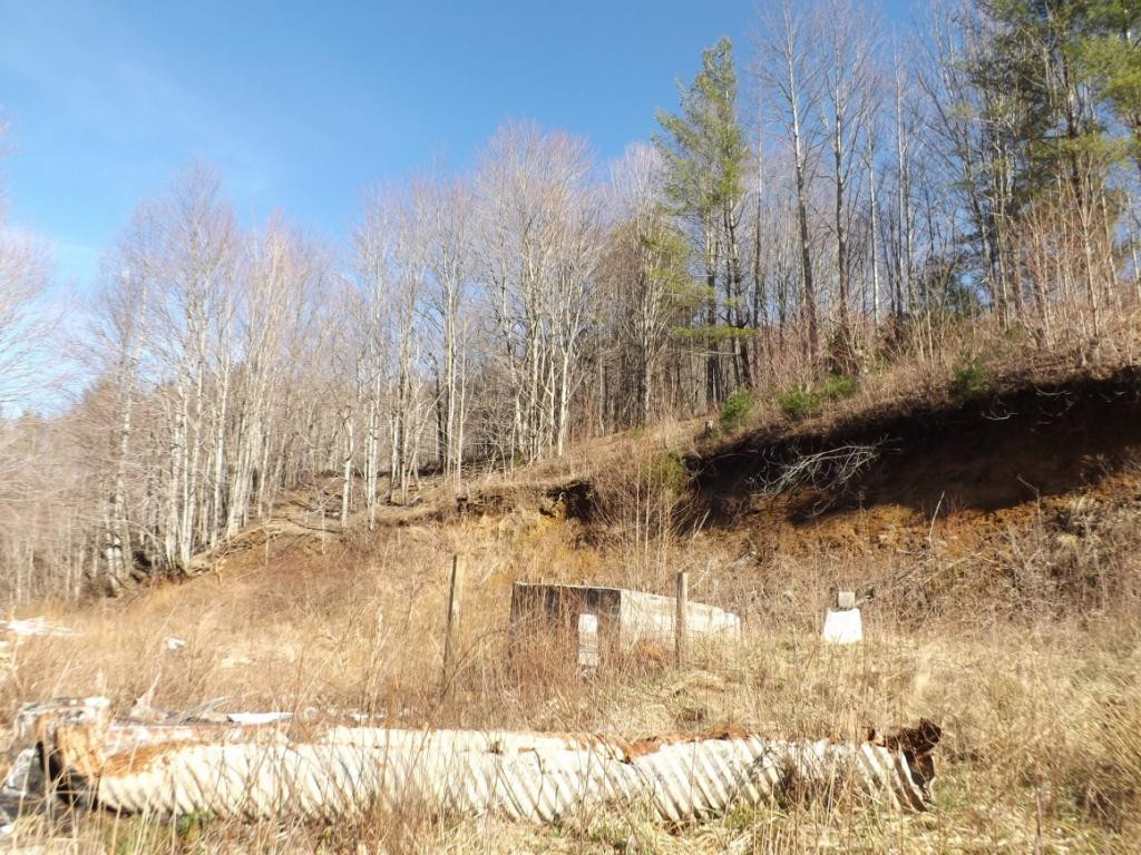 671 Shell Creek Road Roan Mountain, TN 37687 - Photo 3 of 6 Photo 3