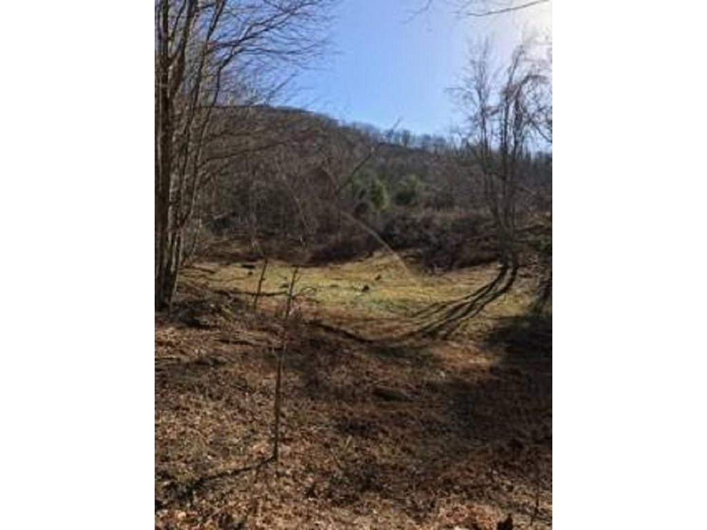671 Shell Creek Road Roan Mountain, TN 37687 - Photo 4 of 6 Photo 4