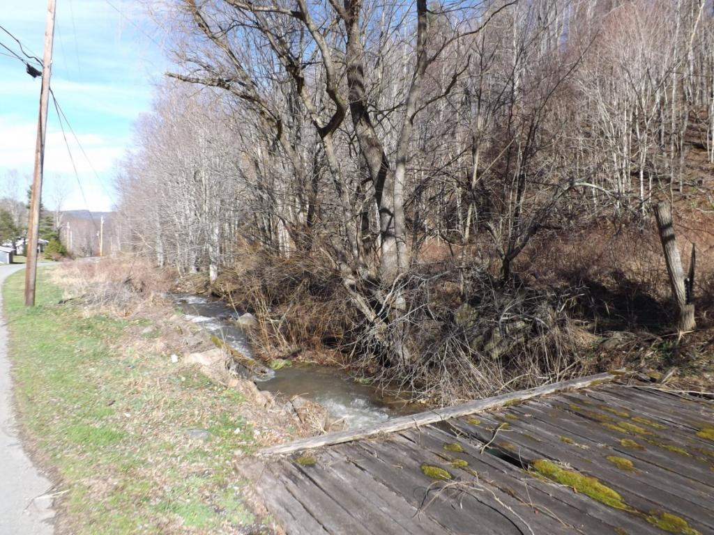 671 Shell Creek Road Roan Mountain, TN 37687 - Photo 6 of 6 Photo 6