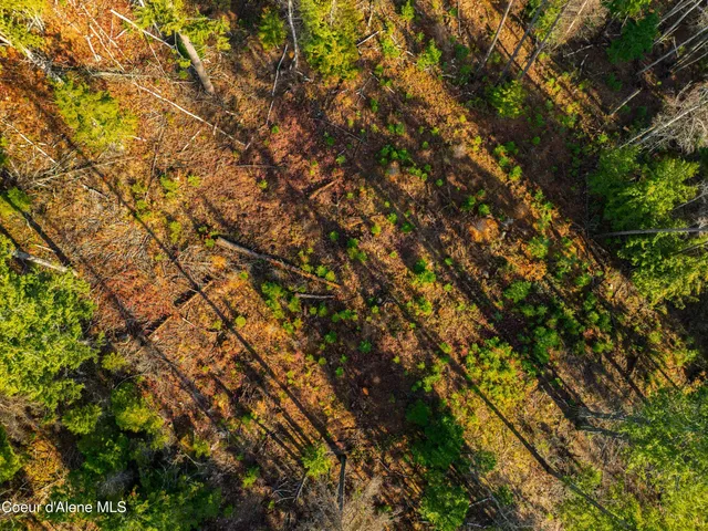 $550,000 | Nna Nna 20.83acs Destiny Lane, Sandpoint, ID 83864