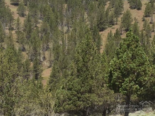 0 Shop Gulch Rd Mount Mount Vernon, OR 97865 - Photo 10 of 17 Additional Photo