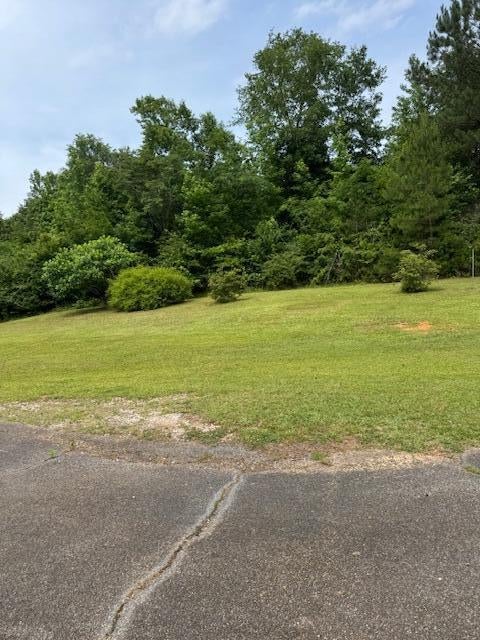 1465 Earnest Chapel Road Oakman, AL 35579 - Photo 17 of 23 IMG_2568