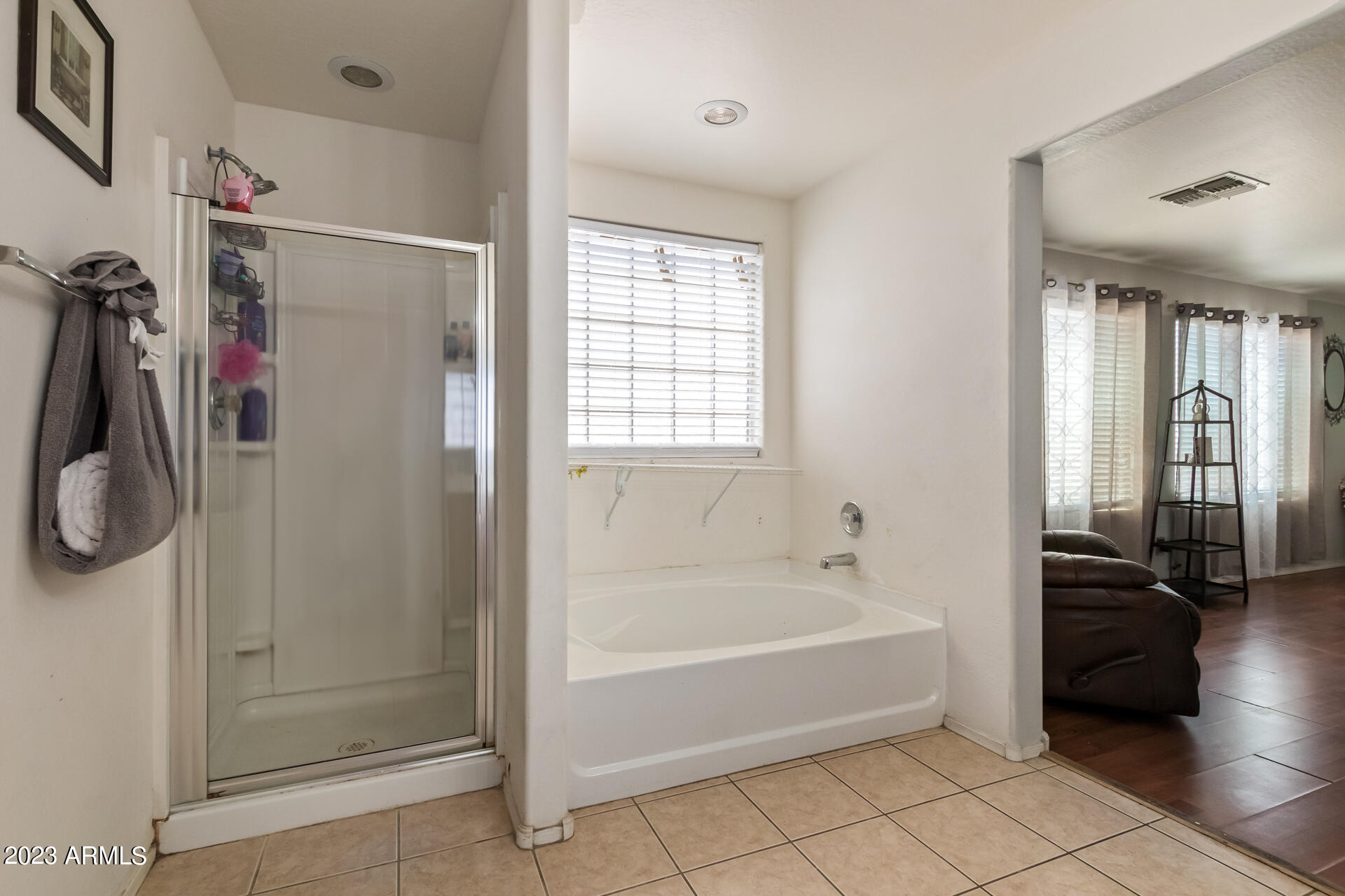 7317 West Darrel Road Laveen, AZ 85339 - Photo 8 of 13 a spacious bathroom with a bathtub and a shower