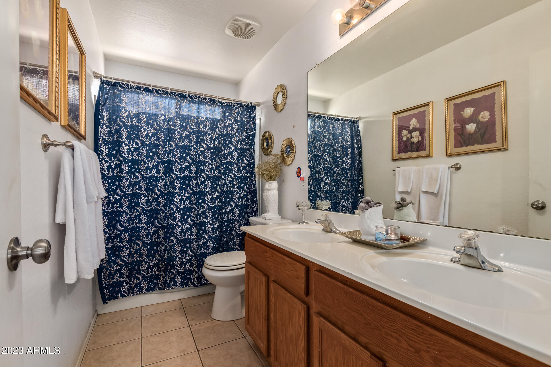 7317 West Darrel Road Laveen, AZ 85339 - Photo 10 of 13 a bathroom with a sink toilet and shower